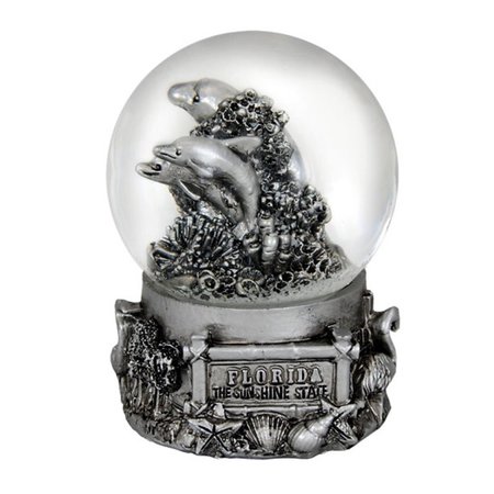 AMERICAWARE Florida 65 mm Snow Globe AM16414